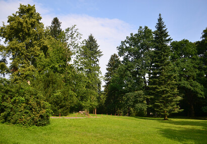 Zámecký park | © Jakub Kulda